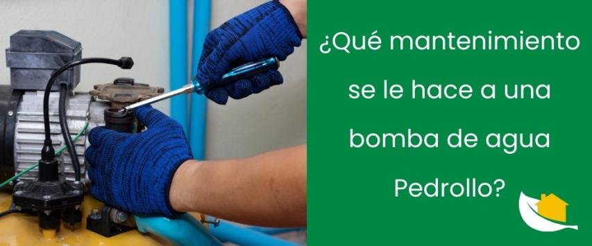 ¿Qué mantenimiento se le hace a una bomba de agua Pedrollo?