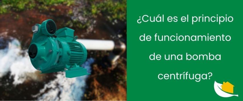 ¿Cuál es el principio de funcionamiento de una bomba centrífuga?