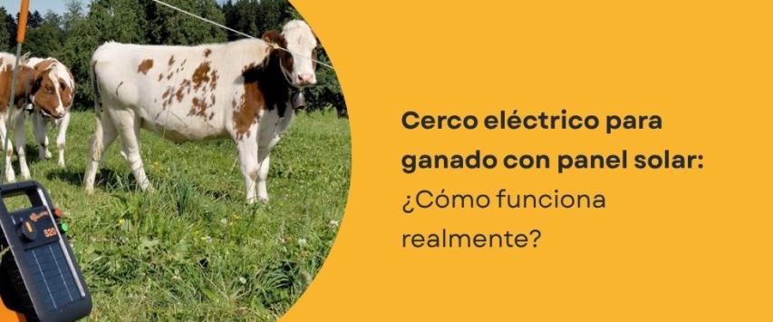 Cerco eléctrico para ganado con panel solar: ¿Cómo funciona?