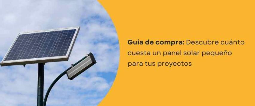 ¿Cuánto cuesta un panel solar pequeño?