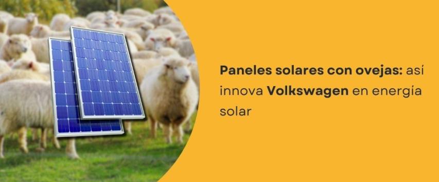 Volkswagen y los paneles solares con ovejas que están cambiando Europa
