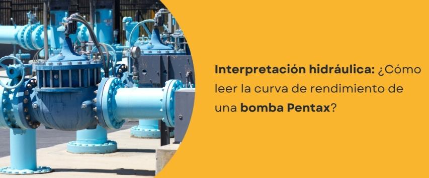 ¿Cómo leer la curva de rendimiento de una bomba Pentax?