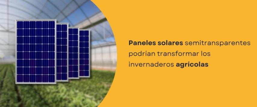 Paneles solares que cultivan y ahorran agua en invernaderos