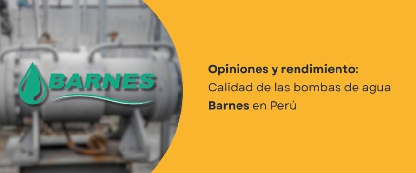¿Qué tan buenas son las bombas de agua Barnes?