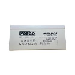 Batería de GEL 12V 300Ah 6GFM300G FORGO
