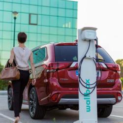 Pedestal Estándar Wallbox