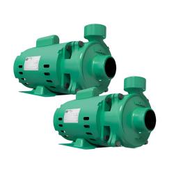 Pack 2 ud Bombas para tanque 0.5HP DE 1 5-1 Barnes