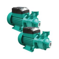 Pack 2 ud Electrobombas Periféricas 1HP Barnes BE 1 10-1HF