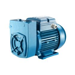 Electrobomba periférica 1HP Monofásica 200V MD 100 Pentax