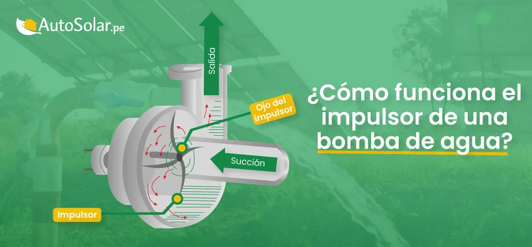 ¿Cómo funciona el impulsor de bomba de agua?