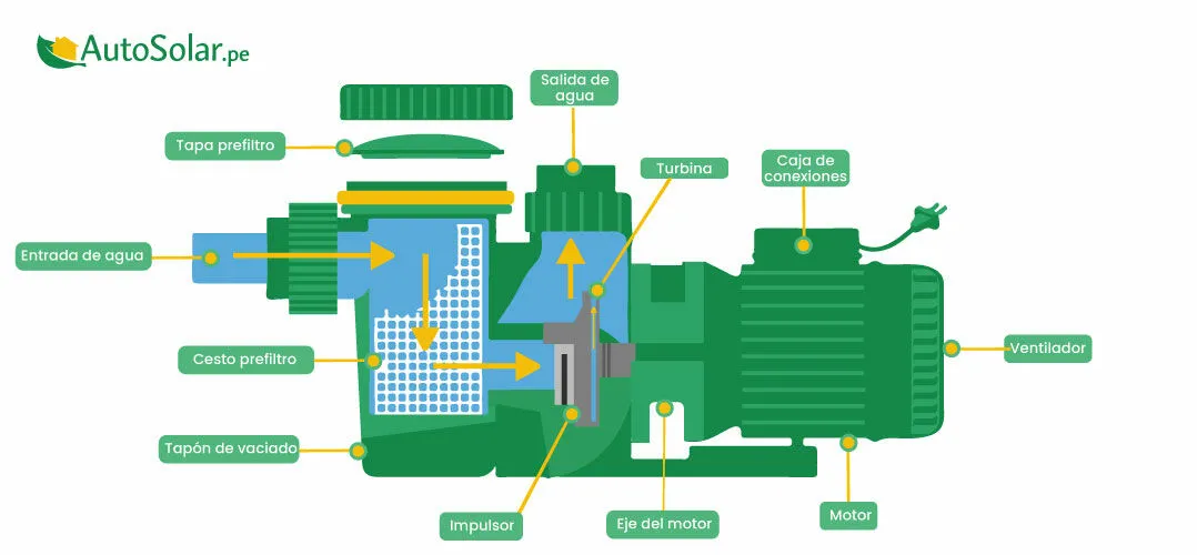 ¿Cuáles son las partes de una bomba de piscina?