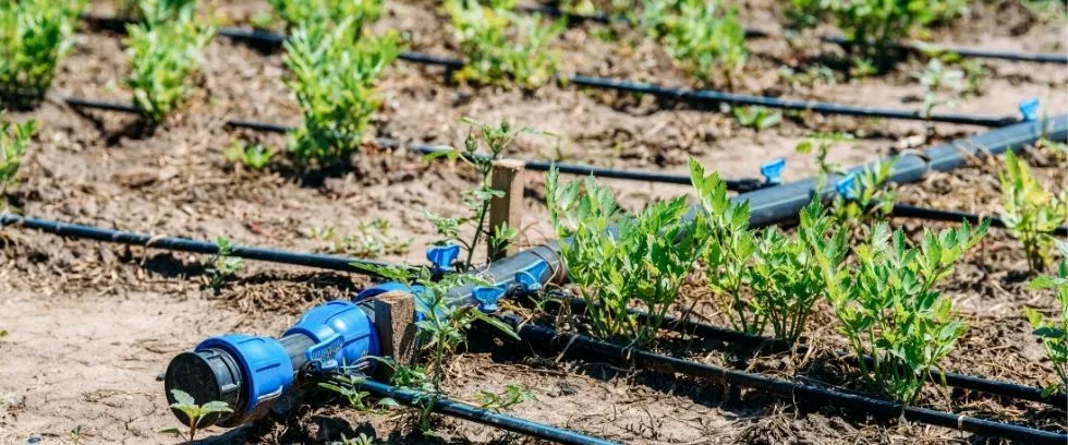 bomba pequeñas para riego bomba pequeñas para riego